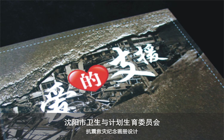 沈陽市衛生計劃委員會.jpg